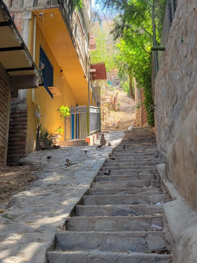 Cielo Hostel تاجانجا المظهر الخارجي الصورة